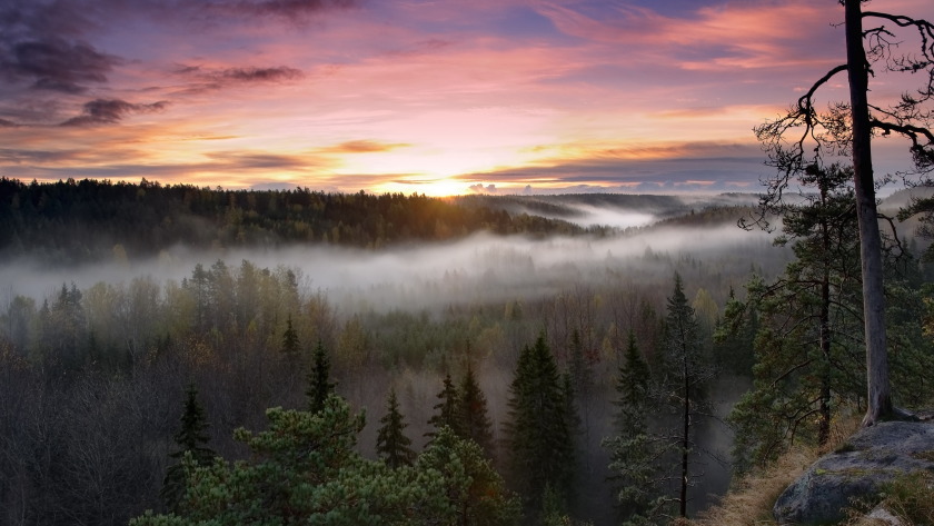 芬兰诺克斯国家公园日出风景4k壁纸